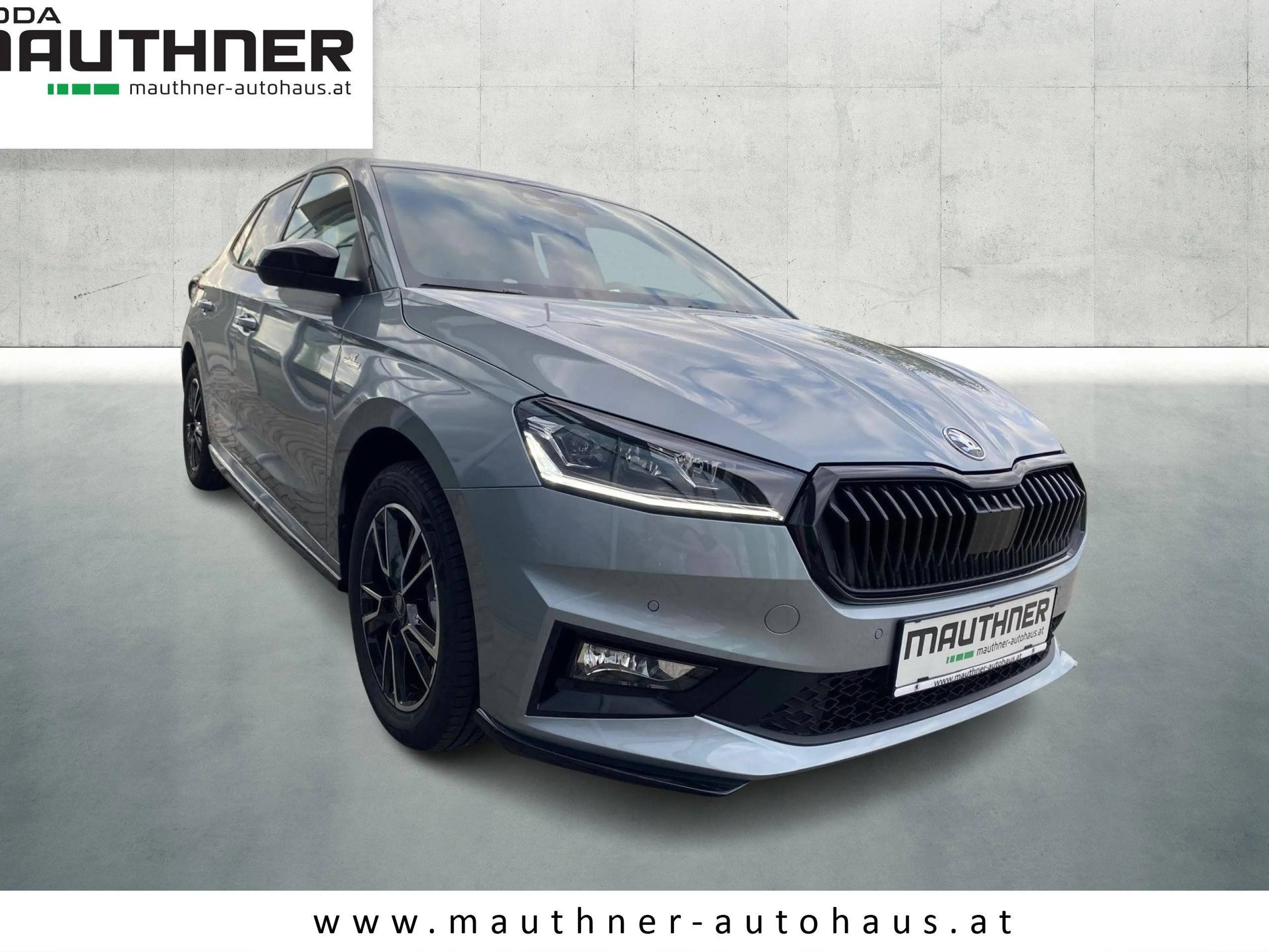 Skoda Fabia Monte Carlo — photo 4