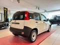Fiat Panda Panda 1.2 Pop s AUTOCARRO*MANUALE*KM CERTIFICATI Weiß - thumbnail 7