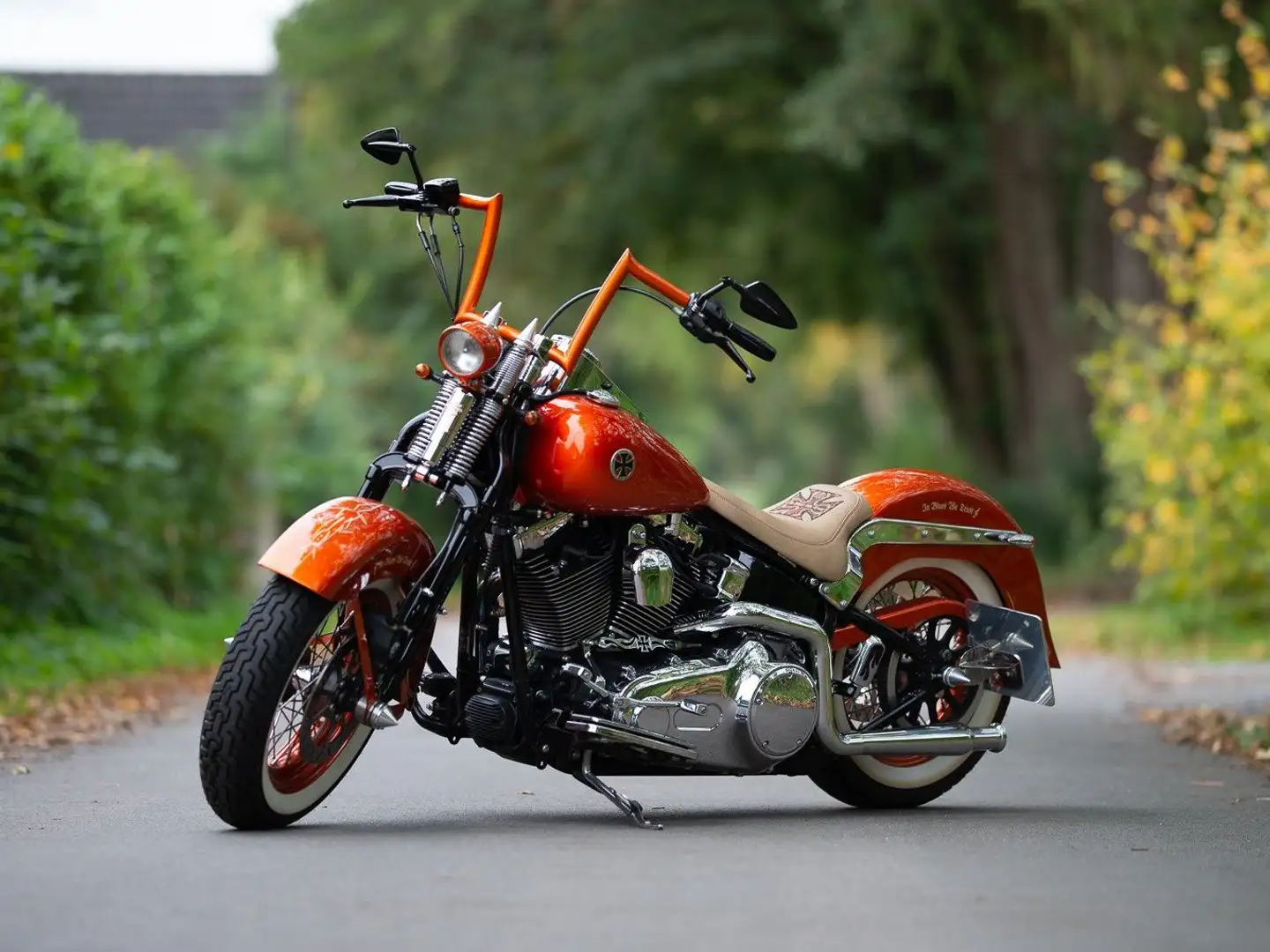 Harley-Davidson Custom Bike Sprinter Softail Heritage FLSTSC - 1