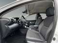 Toyota Yaris Hybrid 1.5 VVT-i Club *Allwetterreifen* Weiß - thumbnail 9