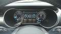 Ford Mustang Mustang Convertible 5.0 Ti-VCT V8 Aut. GT Gris - thumbnail 13