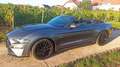 Ford Mustang Mustang Convertible 5.0 Ti-VCT V8 Aut. GT Gris - thumbnail 10