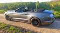 Ford Mustang Mustang Convertible 5.0 Ti-VCT V8 Aut. GT Gris - thumbnail 2