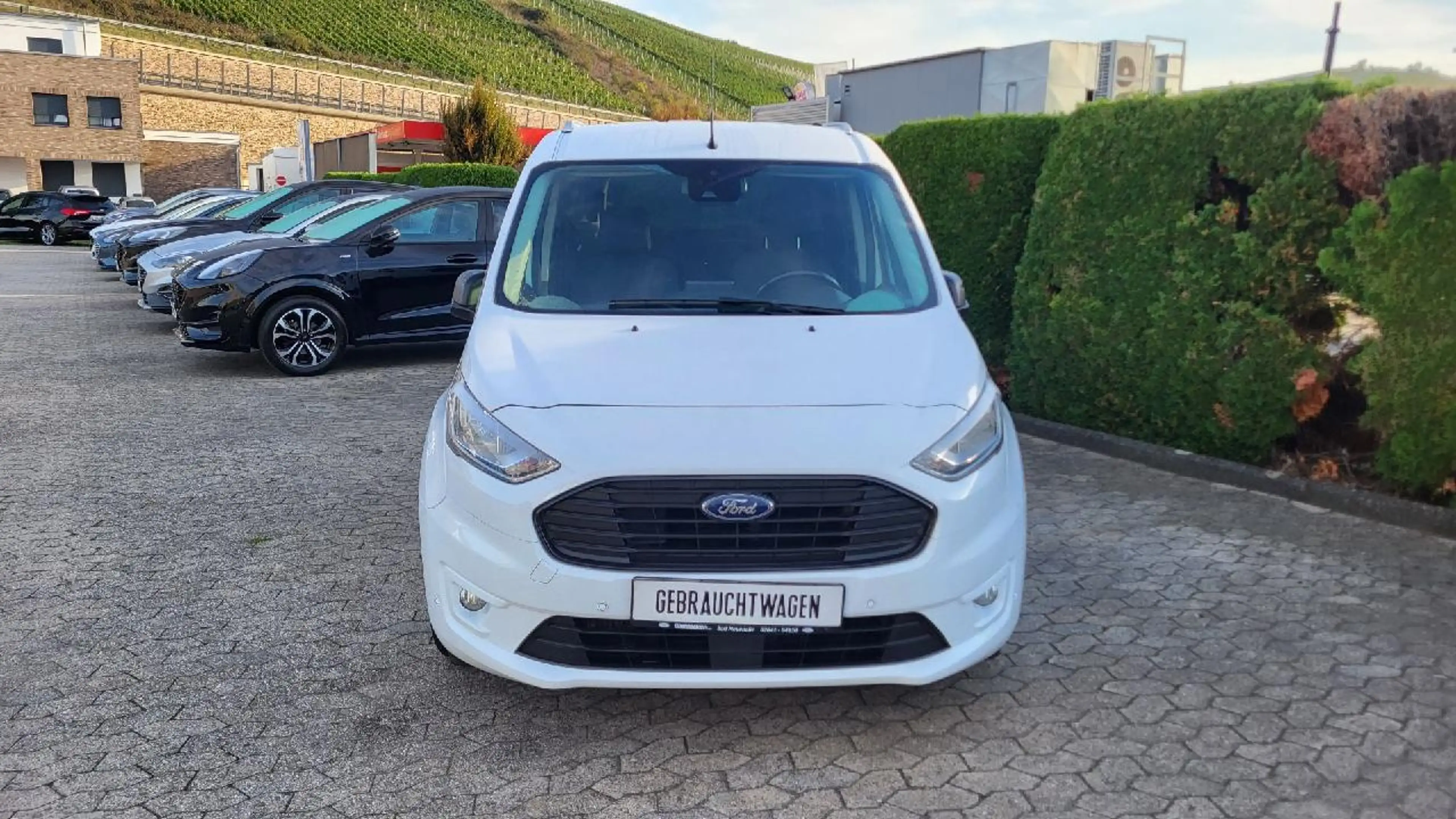 Ford Grand Tourneo Trend — photo 2