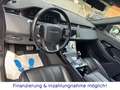 Land Rover Range Rover Evoque R-Dynamic S *KAMERA,LEDER!* Grigio - thumbnail 12