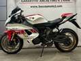 Yamaha YZF-R7 Anniversary Rosso - thumbnail 3