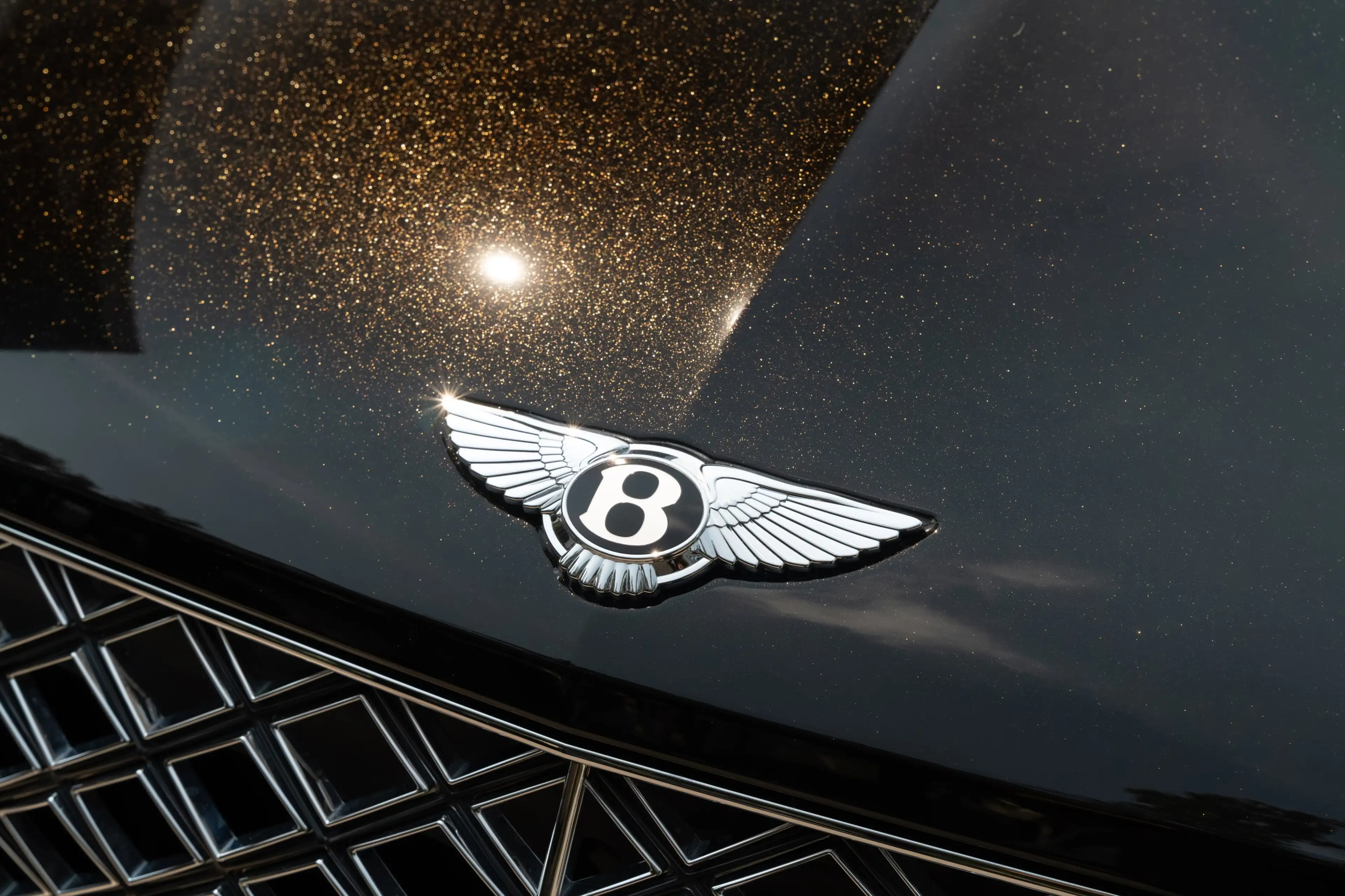Bentley Bentayga V8 EWB Mulliner Drinks Cooler Tow Bar — photo 6