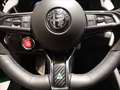 Alfa Romeo Stelvio 2.9 V6 Quadrifoglio Q4 520cv auto Grün - thumbnail 14