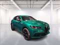 Alfa Romeo Stelvio 2.9 V6 Quadrifoglio Q4 520cv auto Grün - thumbnail 1