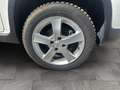 Fiat Panda 4x4 Wild Weiß - thumbnail 16