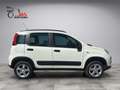 Fiat Panda 4x4 Wild Weiß - thumbnail 6