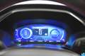 Ford Kuga 1.5 ecoblue ST-Line X 2wd 120cv auto Grigio - thumbnail 9