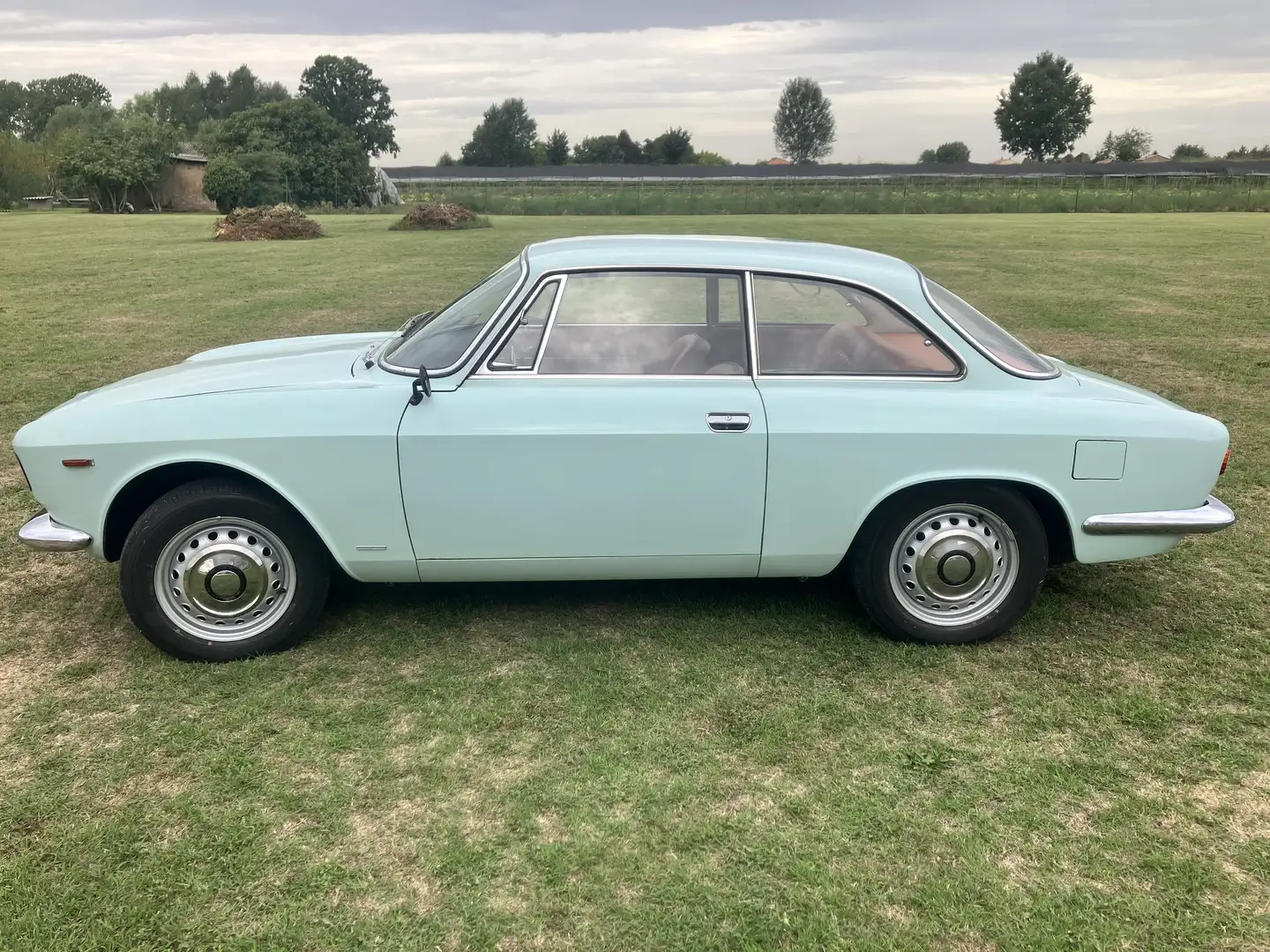 Alfa Romeo Giulia - 1