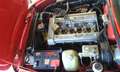 Alfa Romeo Spider Spider 1.6 Rosso - thumbnail 8
