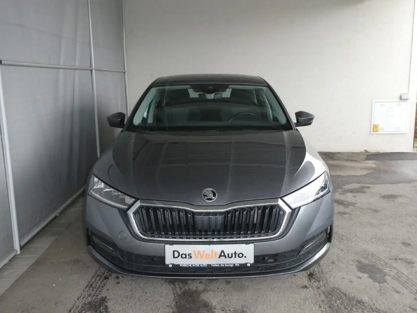 Skoda Octavia Ambition TDI Grau - 2