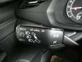 Skoda Octavia Ambition TDI Grau - thumbnail 13