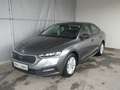 Skoda Octavia Ambition TDI Grau - thumbnail 1