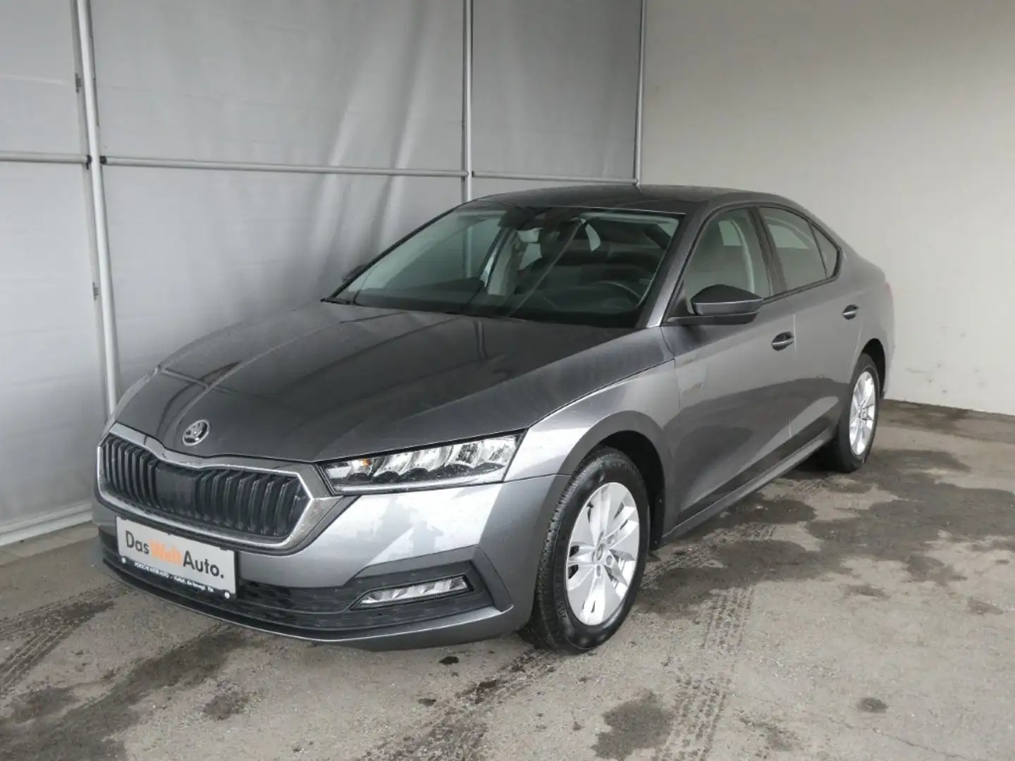 Skoda Octavia Ambition TDI Grau - 1