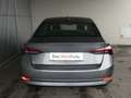 Skoda Octavia Ambition TDI Grau - thumbnail 4