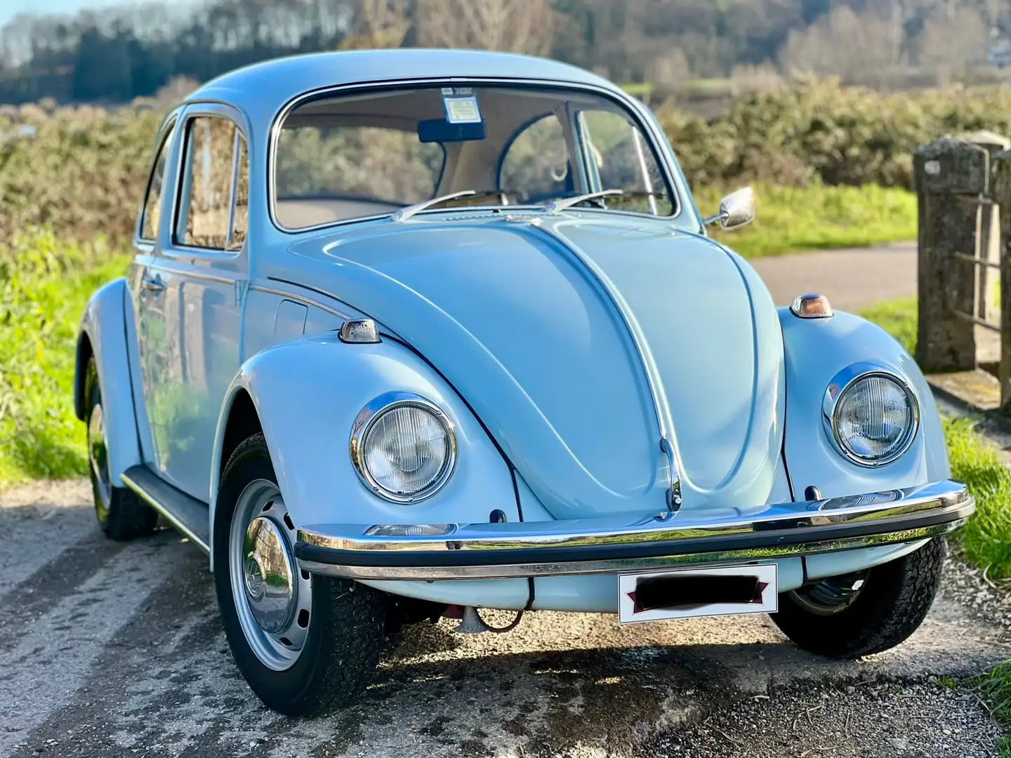 Volkswagen Maggiolino Blau - 1
