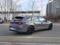 CUPRA Leon SP Kombi Alpha 2.0 TDI DSG 150 Grau - thumbnail 6