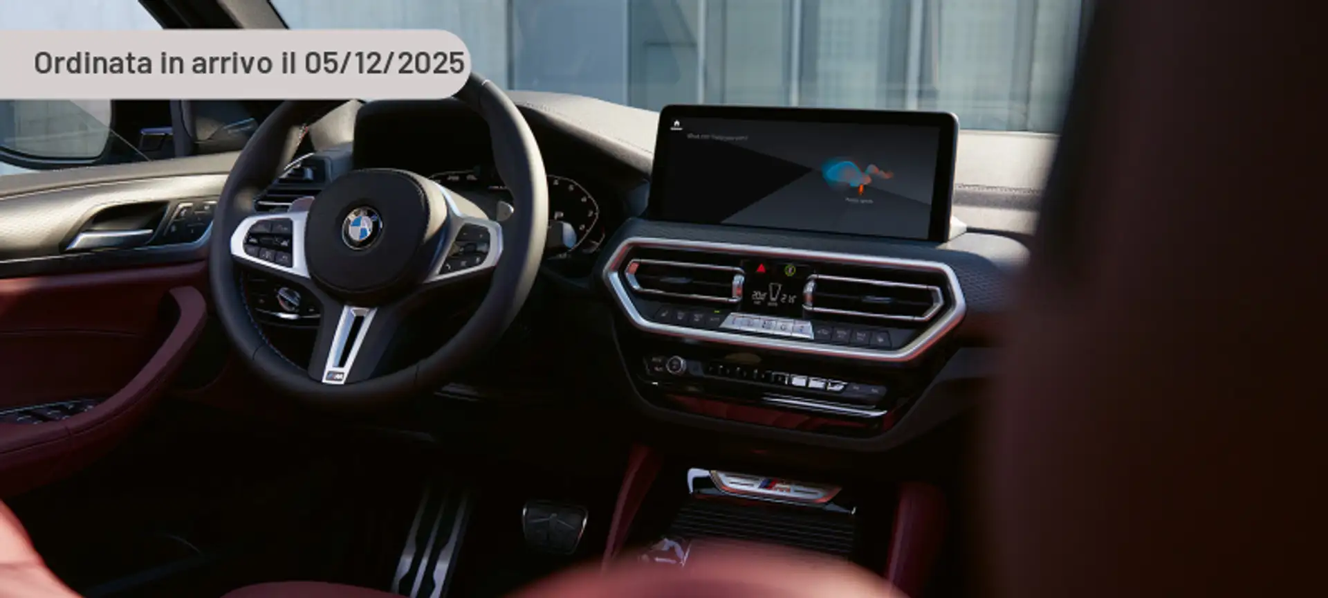 BMW X4 xDrive20i 48V Argento - 1