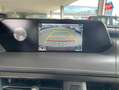 Lexus UX 250h 250h 2WD Luxe MY20 Touvrant Sieges chauf/cuir GPS  Noir - thumbnail 20