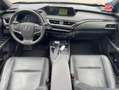 Lexus UX 250h 250h 2WD Luxe MY20 Touvrant Sieges chauf/cuir GPS  Noir - thumbnail 17