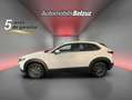 Mazda CX-30 2.5 e-Skyactiv-G Prime Line FWD Aut. 103kW Blanco - thumbnail 24