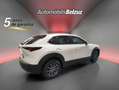 Mazda CX-30 2.5 e-Skyactiv-G Prime Line FWD Aut. 103kW Blanco - thumbnail 6