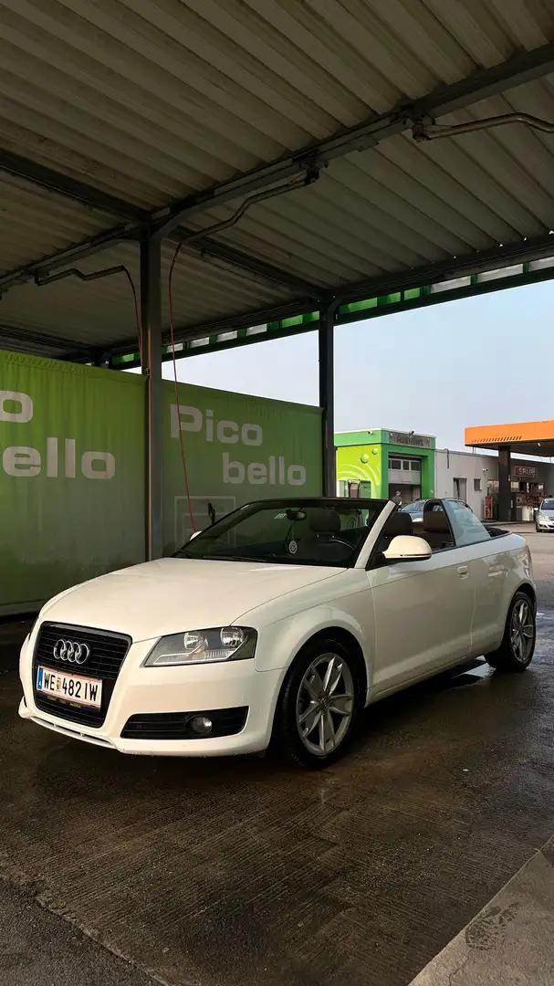 Audi A3 Cabriolet 1,9 TDI Ambition DPF - 1