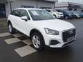 Audi Q2 Q2 30 TDI 116Cv 2022 Blanc - thumbnail 1