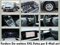 Skoda Kamiq 1.0 TSI DSG Ambition 2xPDC*ACC*Climatronic Grau - thumbnail 6