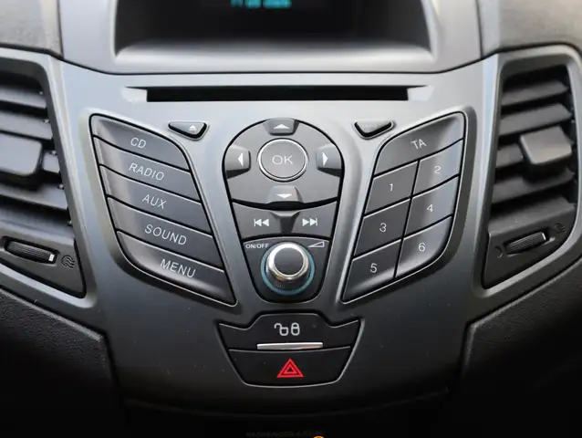 Ford Fiesta view 22