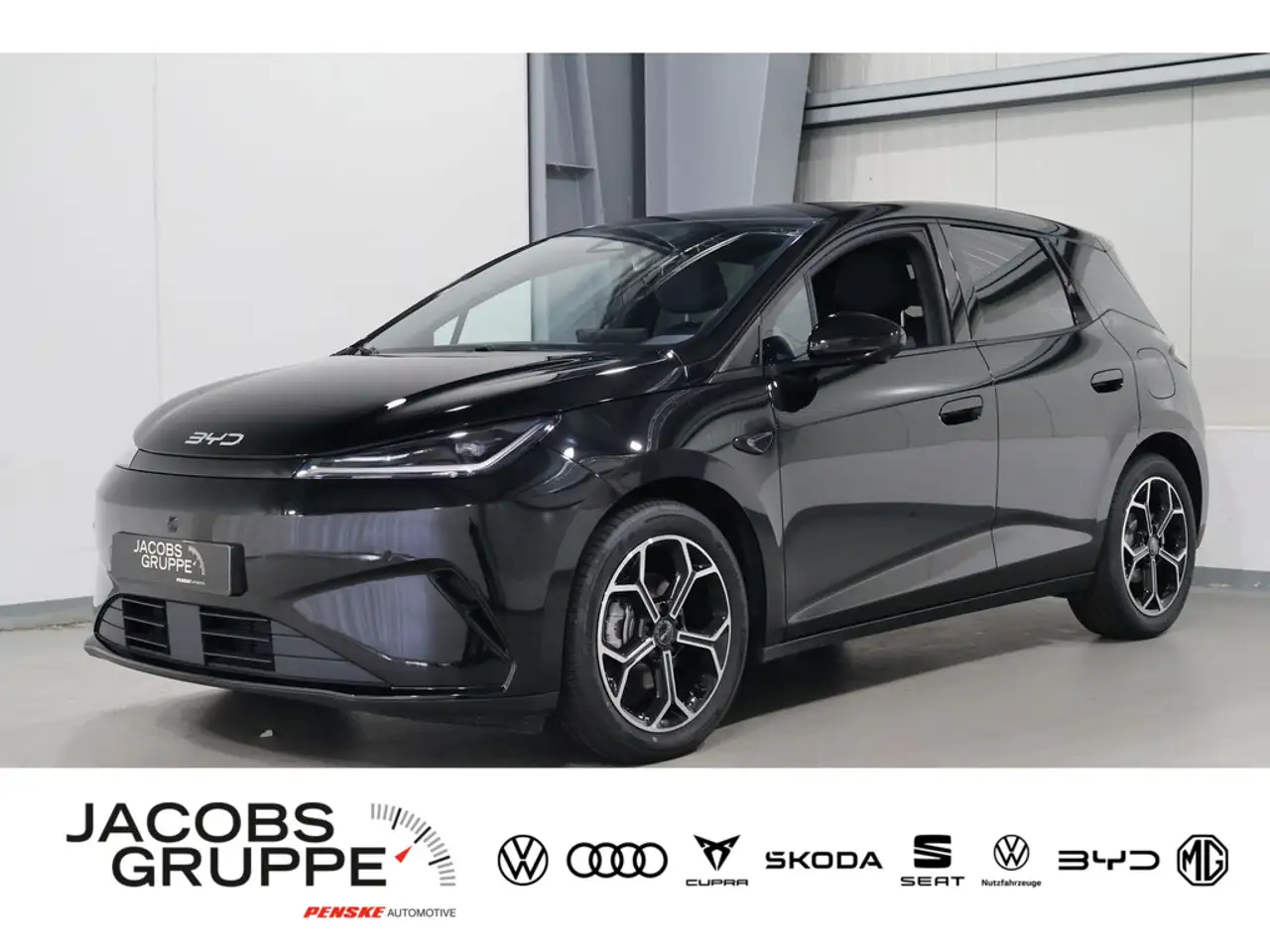 BYD Dolphin G