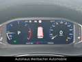 Volkswagen T6 Caravelle T6.1 Caravelle Comfortline 4-Motion DSG Grau - thumbnail 16