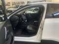 Citroen C4 C4 BlueHDi 130 S&S EAT8 Shine Blanc - thumbnail 10