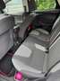 Ford Focus Champions Edition Blau - thumbnail 11