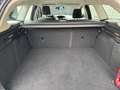 Ford Focus Champions Edition Blau - thumbnail 6