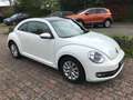 Volkswagen Beetle Lim. Design*Panorama/Schiebedach*Sitzhz* Blanc - thumbnail 4