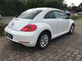 Volkswagen Beetle Lim. Design*Panorama/Schiebedach*Sitzhz* Blanco - thumbnail 7