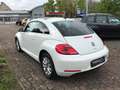 Volkswagen Beetle Lim. Design*Panorama/Schiebedach*Sitzhz* Blanc - thumbnail 5