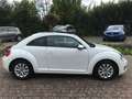 Volkswagen Beetle Lim. Design*Panorama/Schiebedach*Sitzhz* Blanc - thumbnail 8
