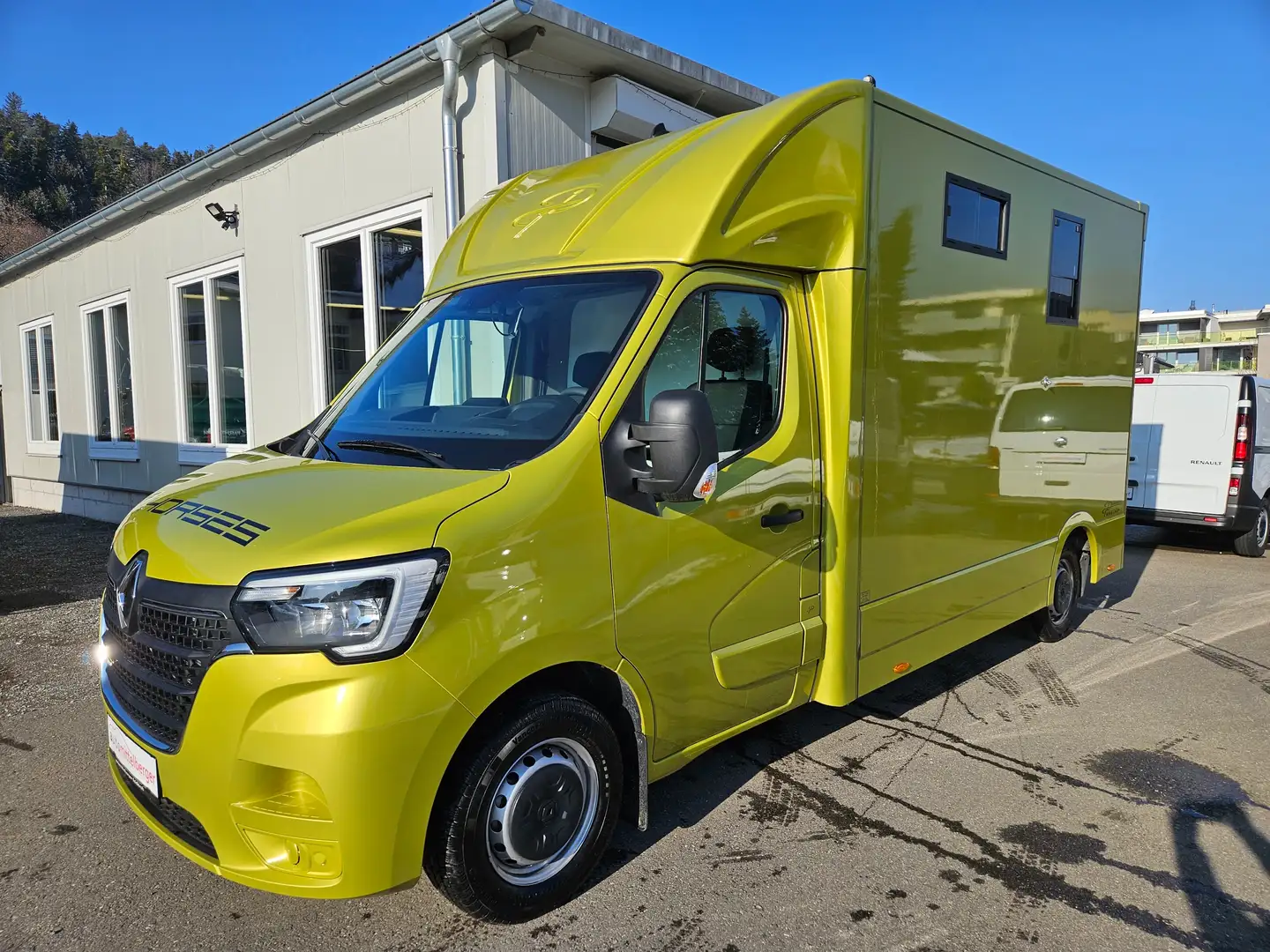 Renault Master Dickenherr Pferdetransporter Grün - 1