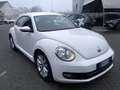 Volkswagen Maggiolino 1.6 tdi Design 105cv Blanc - thumbnail 3