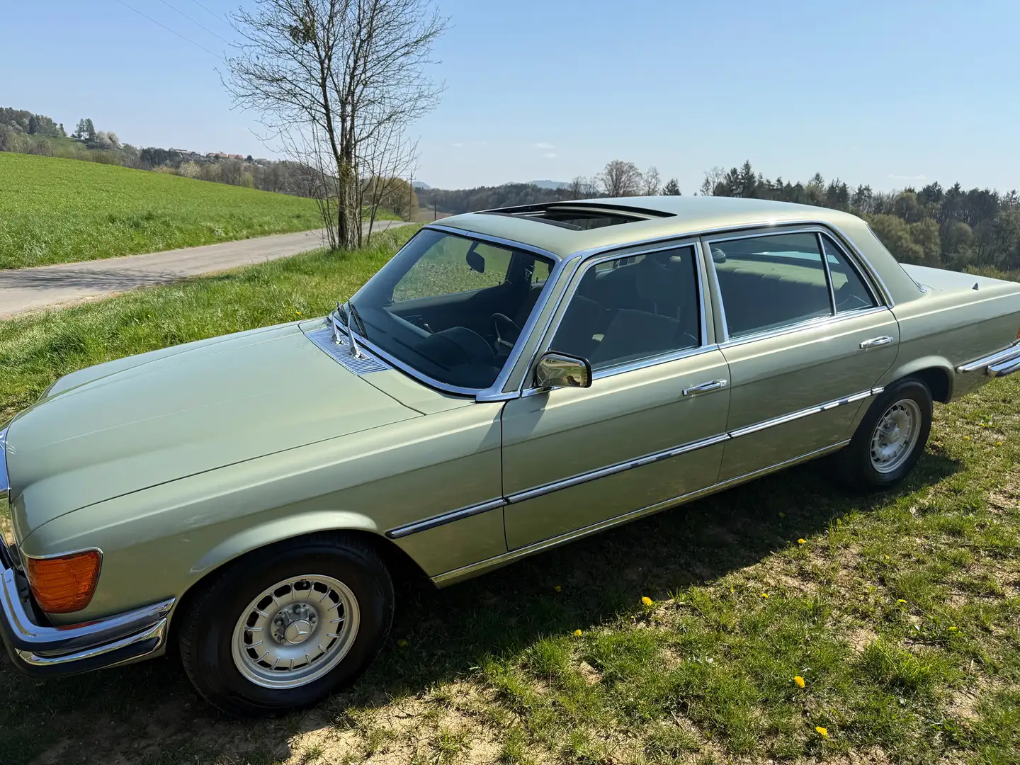 Mercedes-Benz SL 450 (genauer 450 SEL) Vert - 2