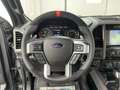 Ford Ranger 3.5 V6 Biturbo 4x4 Crewcab/FOX Perfor/LED Gris - thumbnail 14
