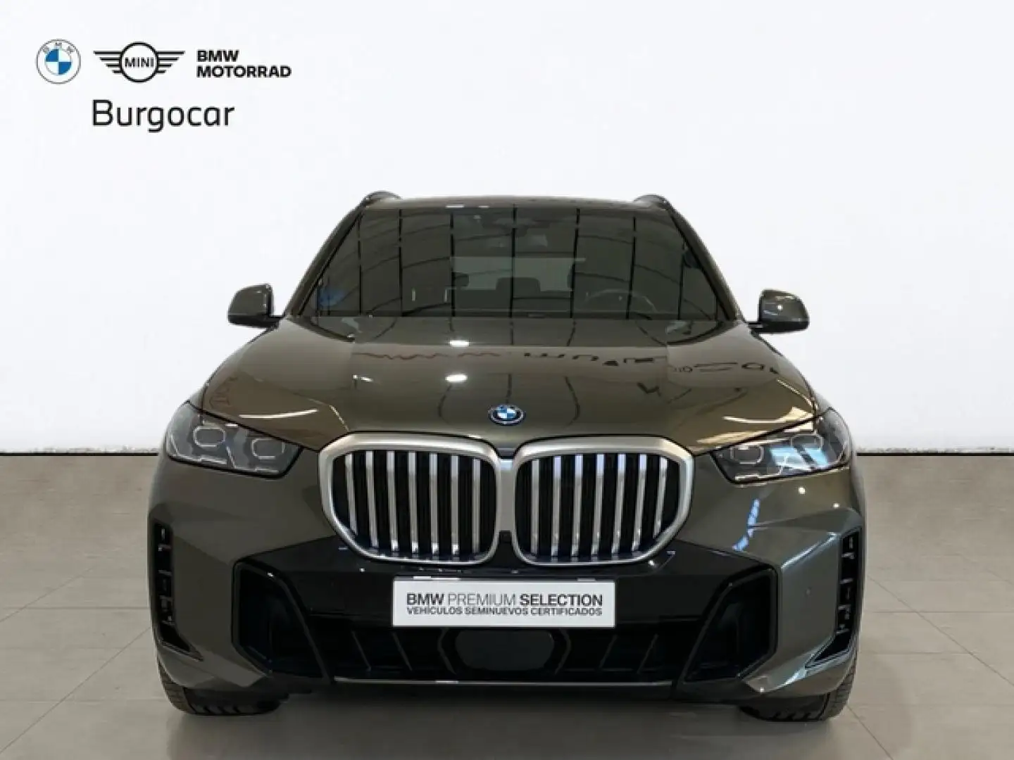 BMW X5 xDrive50e xLine 360 kW (489 CV) - 2