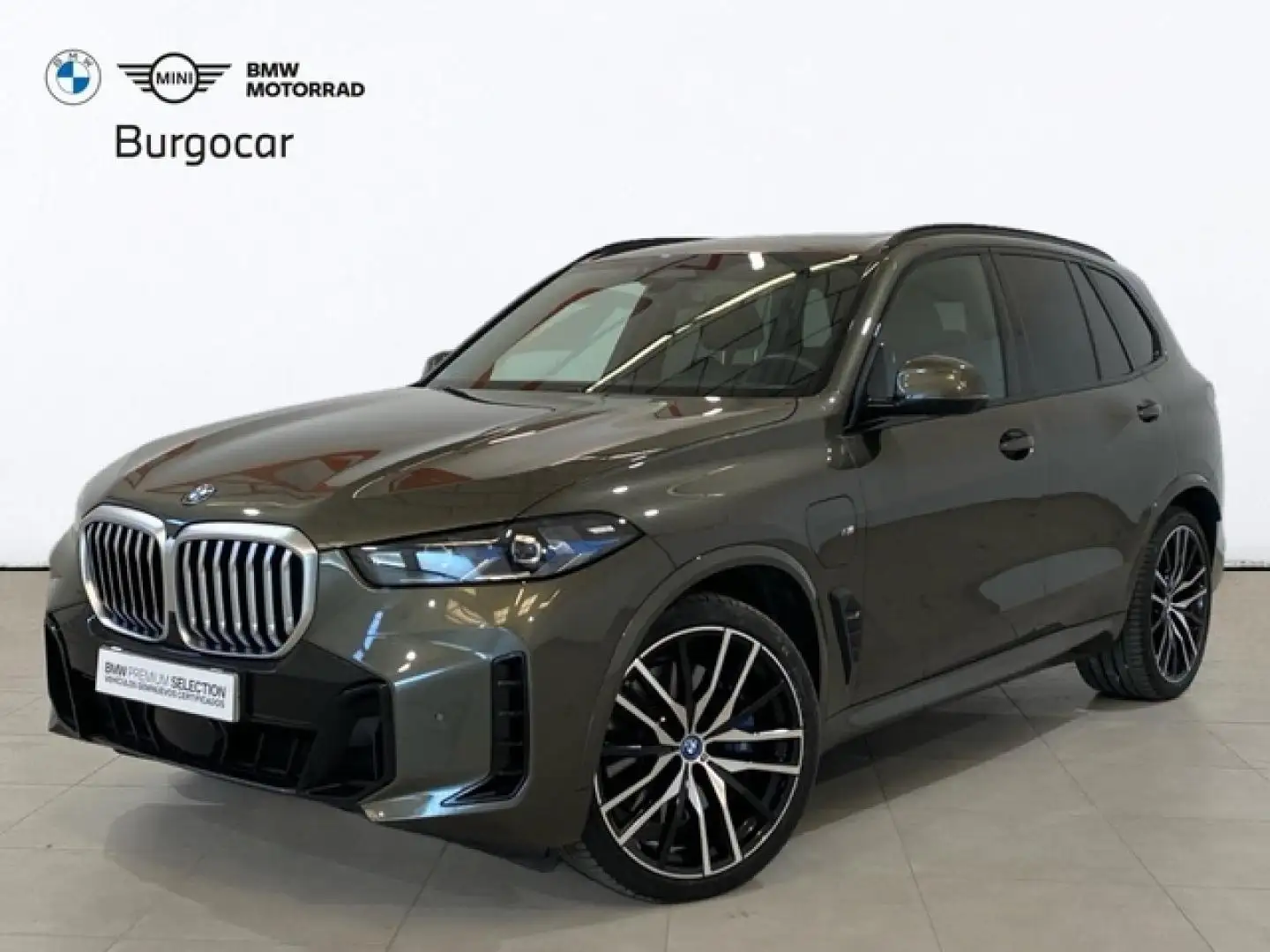 BMW X5 xDrive50e xLine 360 kW (489 CV) - 1