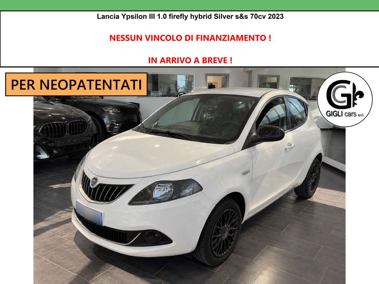 Lancia Ypsilon 1.0 firefly hybrid Silver s&s 70cv Neopatentati